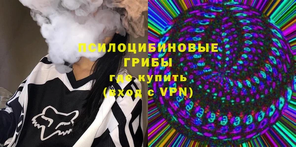 бошки Алзамай