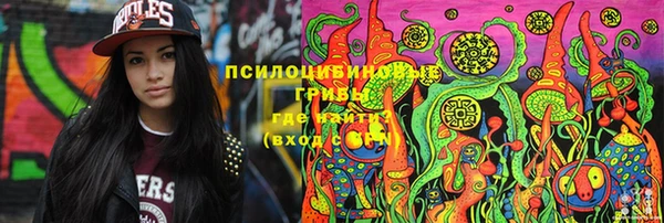 бошки Алзамай