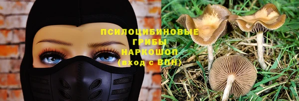 бошки Алзамай