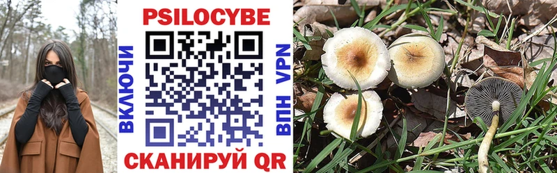 Галлюциногенные грибы Psilocybine cubensis  kraken ONION  Алейск  магазин продажи наркотиков 
