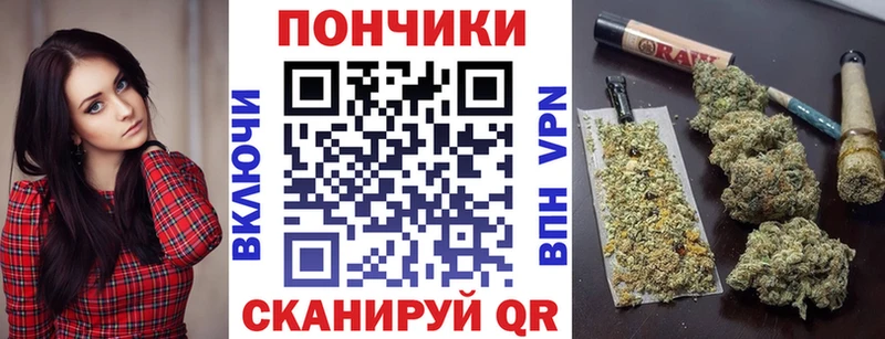 продажа наркотиков  Алейск  мега ссылка  Конопля сатива 